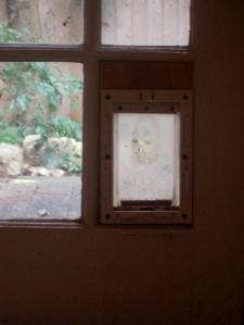 425858_10150711330076815_135368842_n