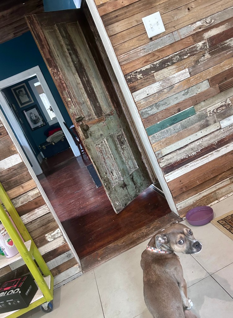 A room with a rustic wooden wall and an open door revealing another room. A dog is sitting on the floor looking back at the camera.